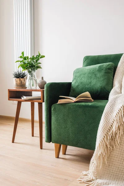 Sofá verde con almohada, libro y manta cerca de mesa de centro de madera con plantas - foto de stock