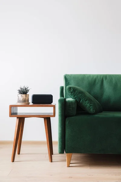 Зелений диван з подушкою і ковдрою біля дерев'яного журнального столика з рослинами — стокове фото