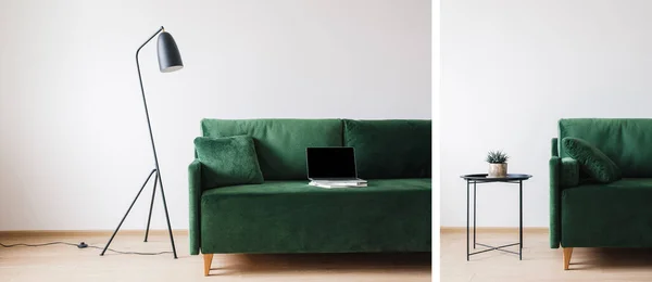 Colagem de sofá verde com travesseiro e laptop com tela em branco em livros perto de metal moderna lâmpada de assoalho e mesa de café com planta — Fotografia de Stock