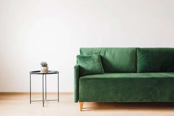 Sofá verde con almohada y mesa de centro con planta — Stock Photo