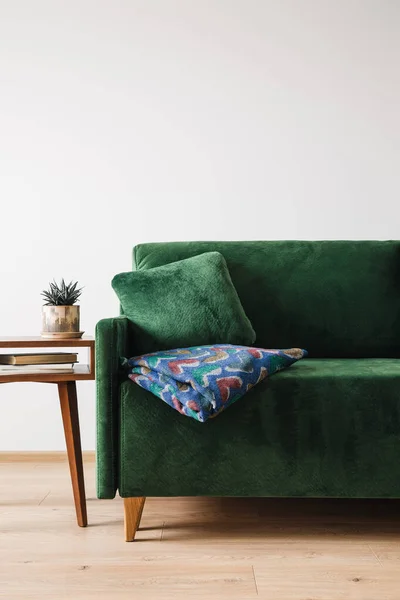 Sofá verde con manta cerca de mesa de centro de madera con plantas y libros - foto de stock