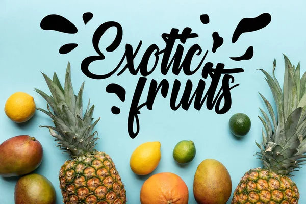 Vista superior de frutas tropicales maduras enteras sobre fondo azul con ilustración de frutas exóticas - foto de stock