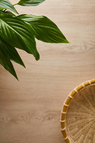 Vue de dessus des feuilles vertes et panier en osier sur table en bois — Photo de stock