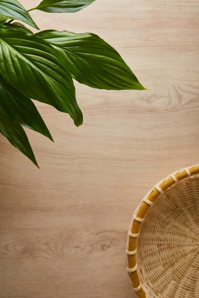 Top view of green leaves and wicker basket on wooden table — Stock Photo