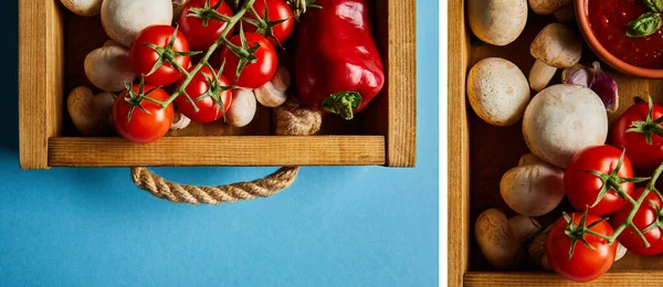 Collage aus Tomatensauce in Schüssel in der Nähe von Champignons, roten Kirschtomaten und Chili in Holzkiste auf blau — Stockfoto