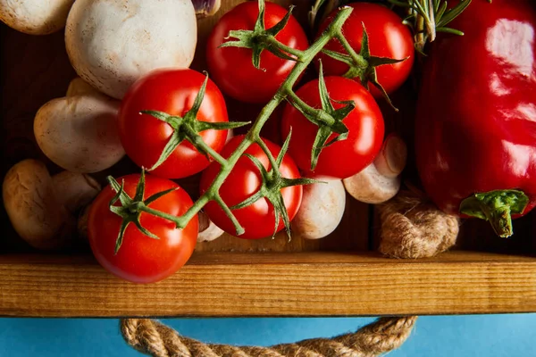 Vista dall'alto di funghi vicino a pomodori ciliegini rossi e peperoncino in scatola di legno su blu — Foto stock