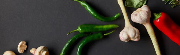 Horizontal image of ripe cherry tomatoes, garlic, rosemary, basil leaves, green chili peppers and mushrooms on black — Stock Photo