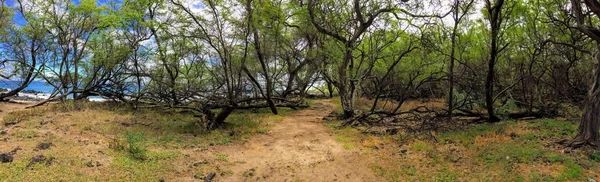 Panorama Ruta Senderismo Través Ruinas Del Antiguo Pueblo Maonakala Village —  Fotos de Stock