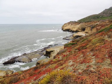 Panoramik resim Cabrillo Ulusal Anıt blöf ve tidepools. San Diego, ABD noktası Loma Yarımadası boyunca kıyı blöf ve tidepools bulundu