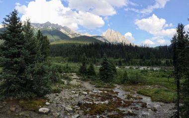 Johnston Kanyon, Banff National Park, Kanada Rocky Dağları, Kanada, Alberta mürekkep tencerelerde çevresinde sayısı
