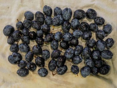 Taze % 100 organik yeni yıkanmış Erik ve kurutma