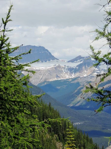 Lake Louise Lakeview Trail Vlakte Van Zes Gletsjers Lake Agnes — Stockfoto