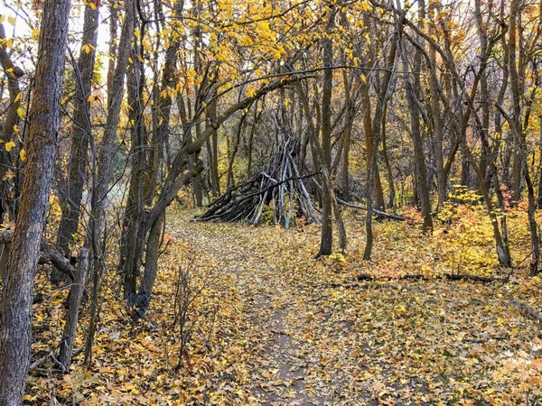 Осень Осень Вид Лес Походе Через Деревья Желтой Вилке Тропе — стоковое фото