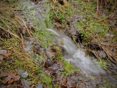 Geç Güz orman akışı yakın, hiking, görünümün bisikleti, ata yollar aracılığıyla sarı çatal ağaçlarda ve Rose Kanyon yollar ABD'de Tuz Gölü ilçe Utah Wasatch cephesinde Oquirrh dağlarında. 