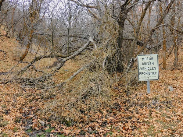 Motor Driven Vehicles Prohibited by order of the Sheriff sign with bullet holes, in forest trail on the Yellow Fork and Rose Canyon Trails in Oquirrh Mountains on the Wasatch Front in Salt Lake County Utah USA.