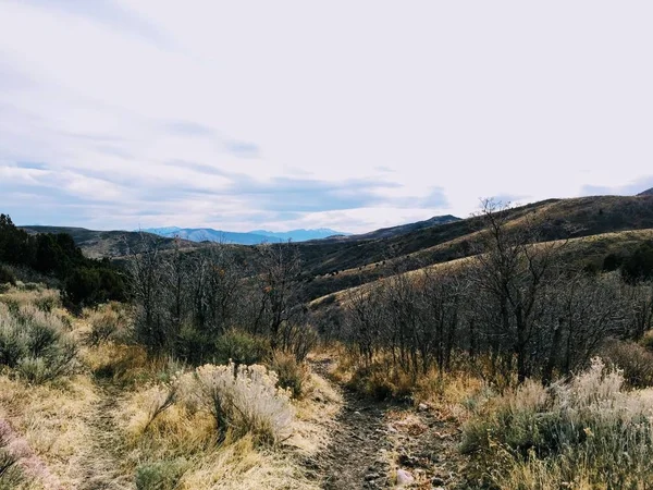 後半秋のパノラマ フォレスト ビュー ハイキング サイクリング 乗馬トレイル黄色フォークと Salt 湖郡ユタ米国で Wasatch の前部にオーカー山脈のローズ — ストック写真
