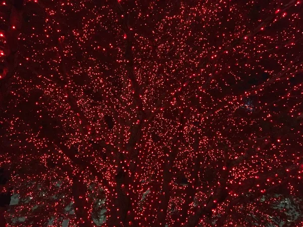 Αφηρημένα Φόντο Κόκκινο Φώτα Χριστουγεννιάτικο Δέντρο Στην Πλατεία Του Ναού — Φωτογραφία Αρχείου
