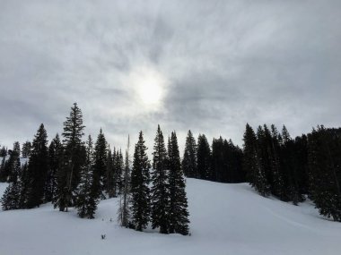 Kış görkemli sayısı Wasatch açık Rocky Dağları, Tuz Gölü yakın Brighton Kayak Merkezi ve Heber Valley, Park City, Amerika Birleşik Devletleri