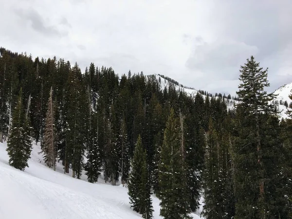 冬ワサッチ フロント ロッキー山脈 グレートソルト湖近くのブライトン スキー リゾートとヒーバー渓谷 公園都市 アメリカ合衆国の周りの雄大な景色 — ストック写真
