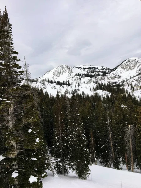 Zimowe Majestatyczne Widoki Wokół Wasatch Front Rocky Mountains Ośrodek Narciarski — Zdjęcie stockowe