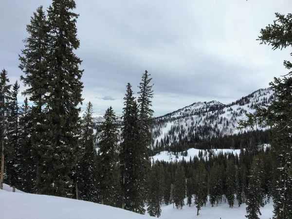 Téli Fenséges Kilátást Wasatch Első Sziklás Hegység Brighton Ski Resort — Stock Fotó