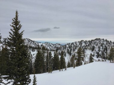Kış görkemli sayısı Wasatch açık Rocky Dağları, Tuz Gölü yakın Brighton Kayak Merkezi ve Heber Valley, Park City, Amerika Birleşik Devletleri