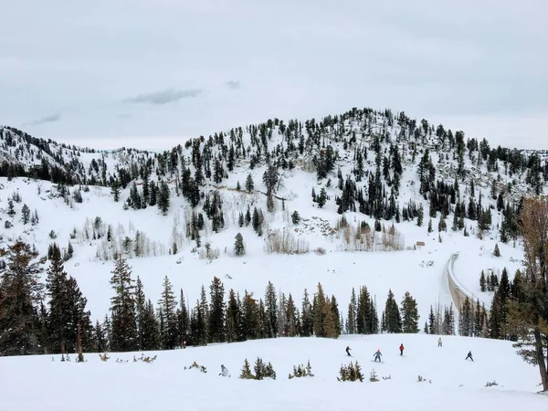 Téli Fenséges Kilátást Wasatch Első Sziklás Hegység Brighton Ski Resort — Stock Fotó