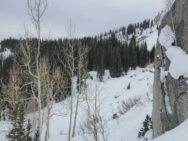 Kış Görkemli Sayısı Wasatch Açık Rocky Dağları Tuz Gölü Yakın — Stok fotoğraf