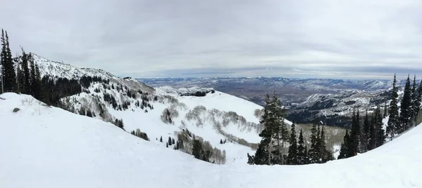 Téli Fenséges Kilátást Wasatch Első Sziklás Hegység Brighton Ski Resort — Stock Fotó