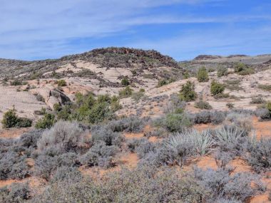 Kumtaşı ve lav rock Dağları ve çöl bitkiler etrafında kırmızı kayalıklarla Ulusal koruma alanı sarı güneybatı Utah, St. George Mojave Çölü çoğu kuzeydoğu ucundaki kuzeyinde bulunan iz hiking Knolls üzerinde.