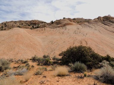 Kumtaşı ve lav rock Dağları ve çöl bitkiler etrafında kırmızı kayalıklarla Ulusal koruma alanı sarı güneybatı Utah, St. George Mojave Çölü çoğu kuzeydoğu ucundaki kuzeyinde bulunan iz hiking Knolls üzerinde.
