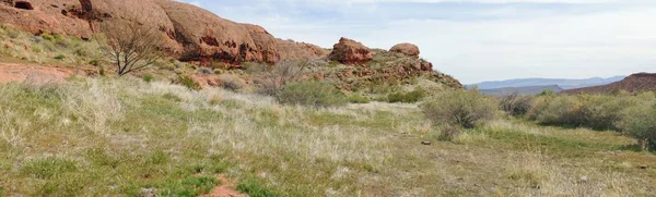 在美国西部 在小河山 Chuckwalla 海龟墙 天堂边缘和中途清洗小径周围 围绕圣乔治岛的徒步旅行小径上的沙漠全景景色 — 图库照片