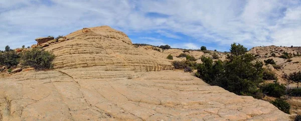 溶岩岩山地と南西ユタ州セントジョージ モハーベ砂漠の北東の端の北にあるトレイルをハイキング黄色ノールズの赤崖国立保護区周辺の砂漠の植物の景色 — ストック写真