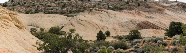 Vue Sur Les Montagnes Grès Lave Les Plantes Désert Autour — Photo