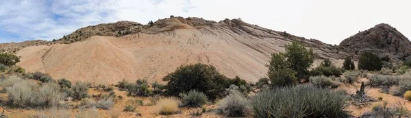 Vistas Montanhas Arenito Rocha Lava Plantas Deserto Torno Das Falésias — Fotografia de Stock