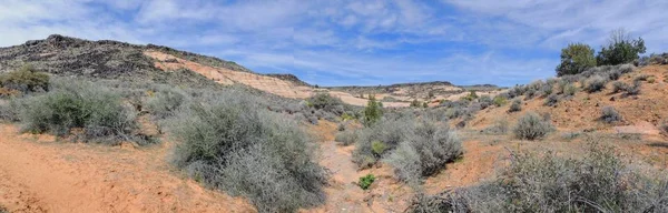 砂岩和熔岩岩石山和沙漠植物的看法在红色峭壁国家保护区附近在黄色山丘徒步旅行路线位于犹他州西南 乔治的北部 莫哈韦沙漠的最边缘 — 图库照片