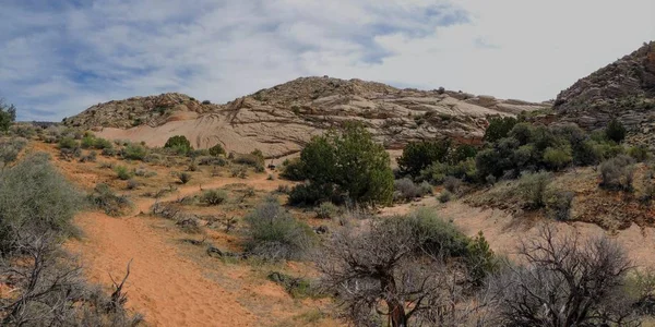 Views Sandstone Lava Rock Mountains Desert Plants Red Cliffs National — Stock Photo, Image