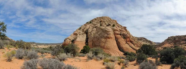 Views of sandstone and lava rock mountains and desert plants around the Red Cliffs National Conservation Area on the Yellow Knolls hiking trail located in southwest Utah, north of St. George at the northeastern-most edge of the Mojave Desert.