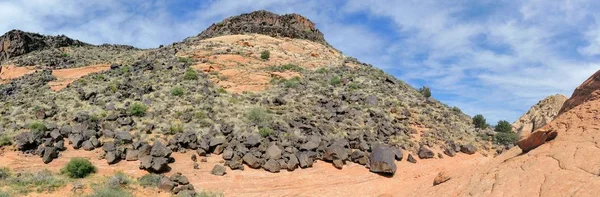 溶岩岩山地と南西ユタ州セントジョージ モハーベ砂漠の北東の端の北にあるトレイルをハイキング黄色ノールズの赤崖国立保護区周辺の砂漠の植物の景色 — ストック写真