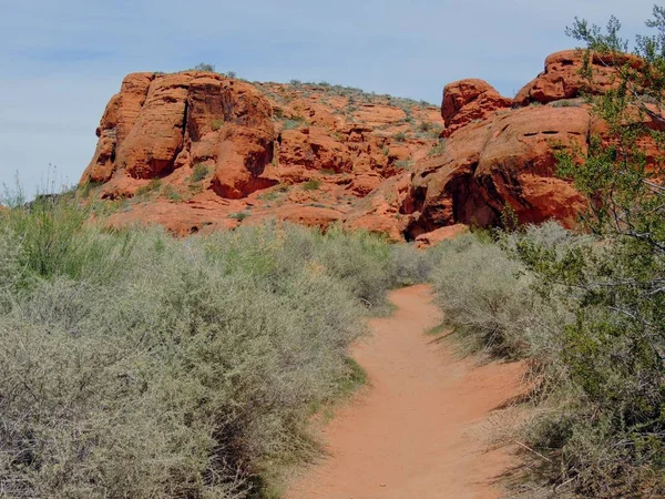 Wüste Panoramablick Von Wanderwegen Rund George Uta Beck Hill Chuckwalla — Stockfoto