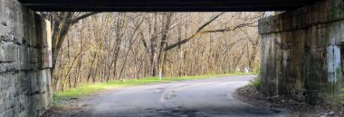 Kentsel yan yol grafiti, ağaçlar erken baharda Indianapolis Indiana, Amerika Birleşik Devletleri'sıra ile tren köprüden.