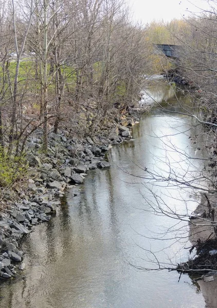 River Tree Park Views Bean Creek Garfield Park Indianapolis Indiana — Stock Photo, Image