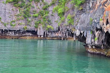Phuket Tayland yakınlarındaki ada, mavi, turkuaz ve yeşil okyanuslar, dağlar, kayıklar, mağaralar, ağaçlar Tayland 'da tatil köyü. Phi Phi, Ko Rang Yai, Ko Li Pe ve diğer adalar da dahil. Asya.