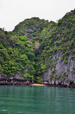 Phuket Tayland yakınlarındaki ada, mavi, turkuaz ve yeşil okyanuslar, dağlar, kayıklar, mağaralar, ağaçlar Tayland 'da tatil köyü. Phi Phi, Ko Rang Yai, Ko Li Pe ve diğer adalar da dahil. Asya.
