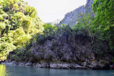 Phuket Tayland yakınlarındaki ada, mavi, turkuaz ve yeşil okyanuslar, dağlar, kayıklar, mağaralar, ağaçlar Tayland 'da tatil köyü. Phi Phi, Ko Rang Yai, Ko Li Pe ve diğer adalar da dahil. Asya.
