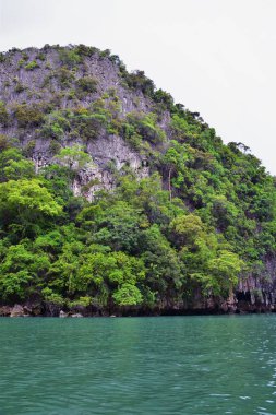 Phuket Tayland yakınlarındaki ada, mavi, turkuaz ve yeşil okyanuslar, dağlar, kayıklar, mağaralar, ağaçlar Tayland 'da tatil köyü. Phi Phi, Ko Rang Yai, Ko Li Pe ve diğer adalar da dahil. Asya.