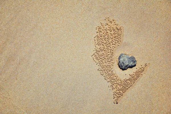 沙袋蟹 Sand Bubbler Crab 沙滩上沙球的抽象模式 属Scopimera和Dotilla 科Dotillidae 泰国的Pu Lom 发现于印度洋 — 图库照片