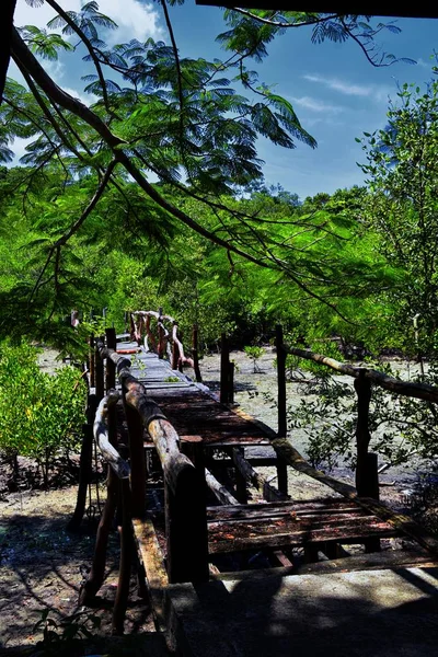 Structuren Brug Vernietigd Door Phuket Tsunami Architectonische Structuren Het Eiland — Stockfoto