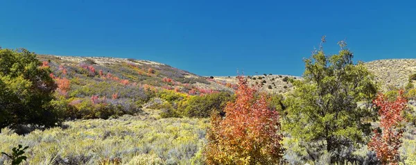 Hiking Trails Oquirrh Wasatch Rocky Mountains Utah Late Fall Leaves — Stock Photo, Image