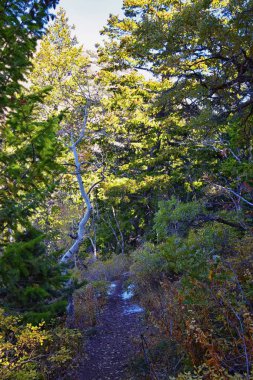 Kennecott Rio Tinto Copper madeni, Tooele ve Salt Lake City 'nin yanındaki Wasatch Front Rocky Dağları boyunca uzanan Oquirrh dağlarının Butterfield Kanyonu yürüyüş yolu manzarası. Utah, Birleşik Devletler.